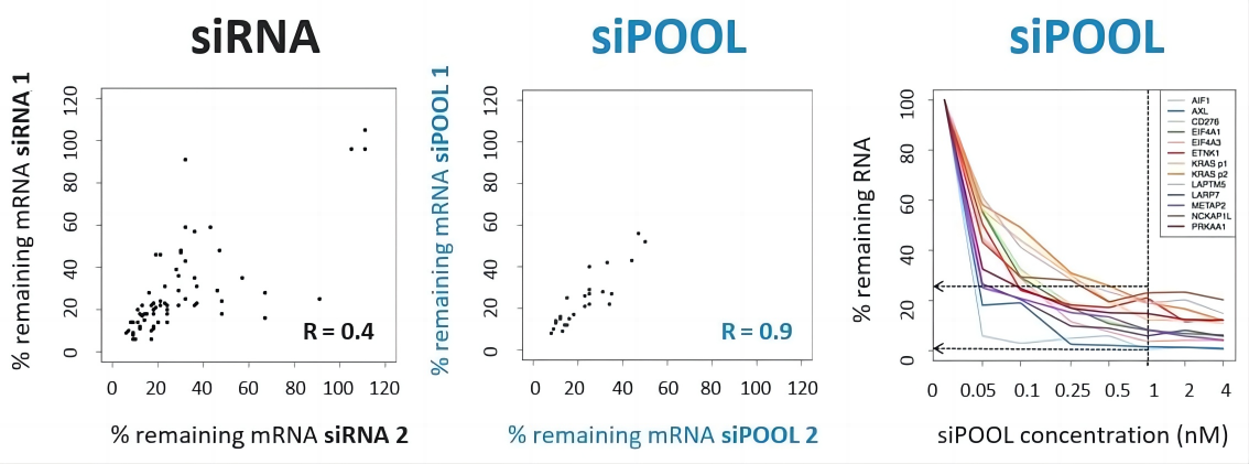通过siPOOL实现更好的重现性和有效的敲低效率.png